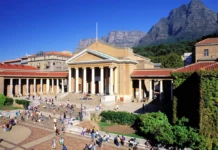 Cracks in the Digital Ivory Tower: Are African Universities Ready for the Cyber Storm?
